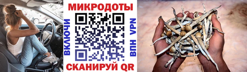 купить   Бавлы  Галлюциногенные грибы MAGIC MUSHROOMS 
